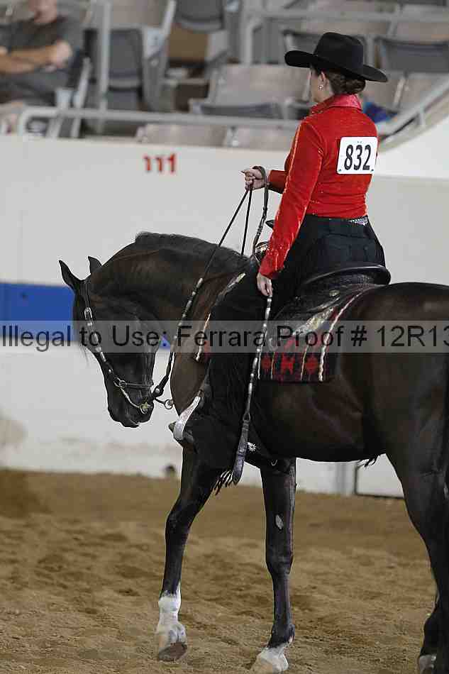 Proof 12r13_2084