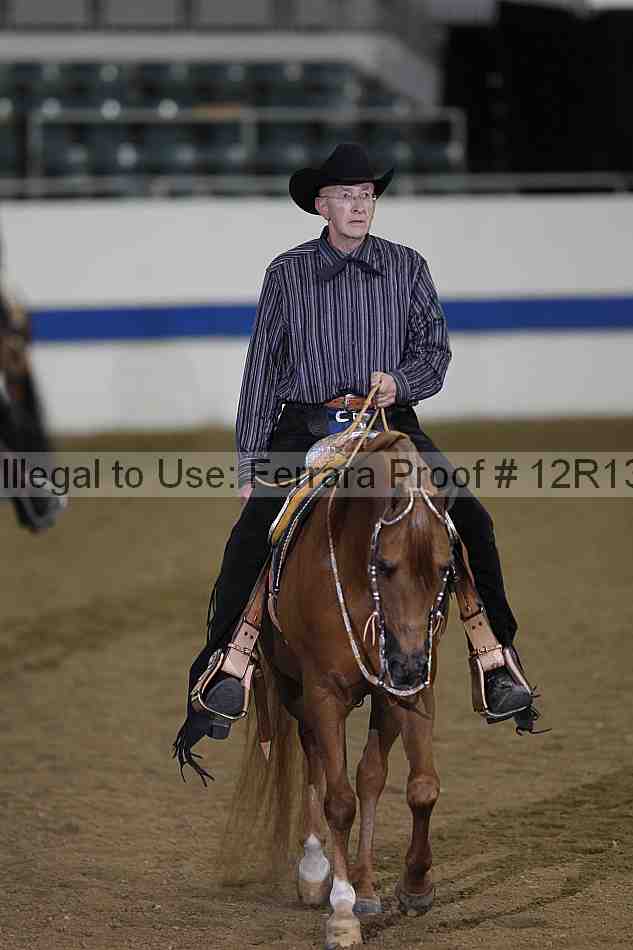 Proof 12r13_2087