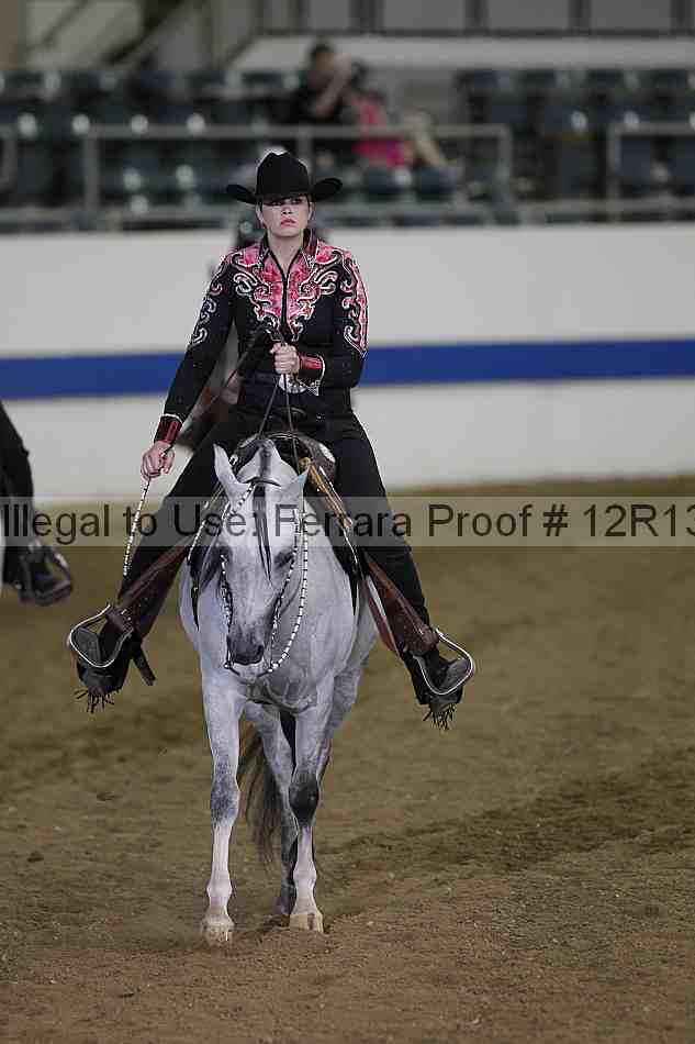 Proof 12r13_2088