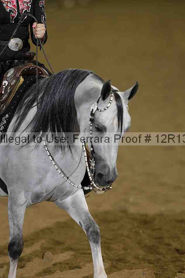 Proof 12r13_2091