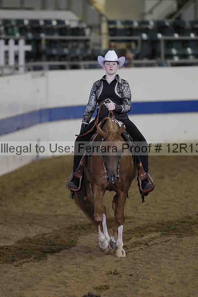 Proof 12r13_2096
