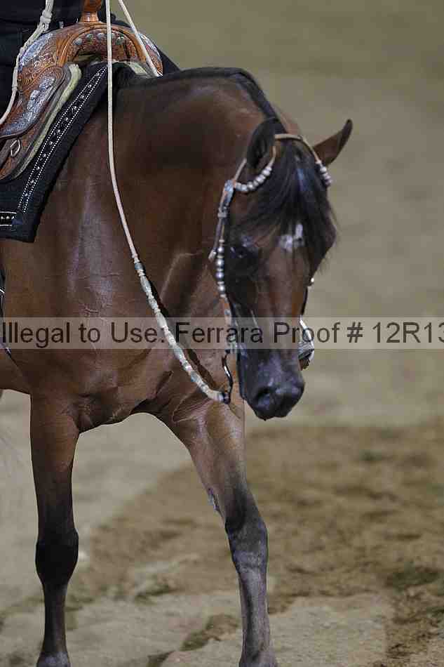 Proof 12r13_2098