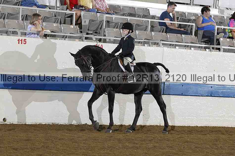 Proof 12r13_2120