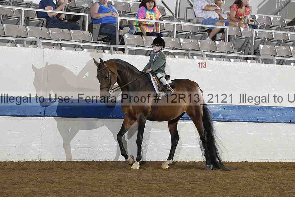 Proof 12r13_2121