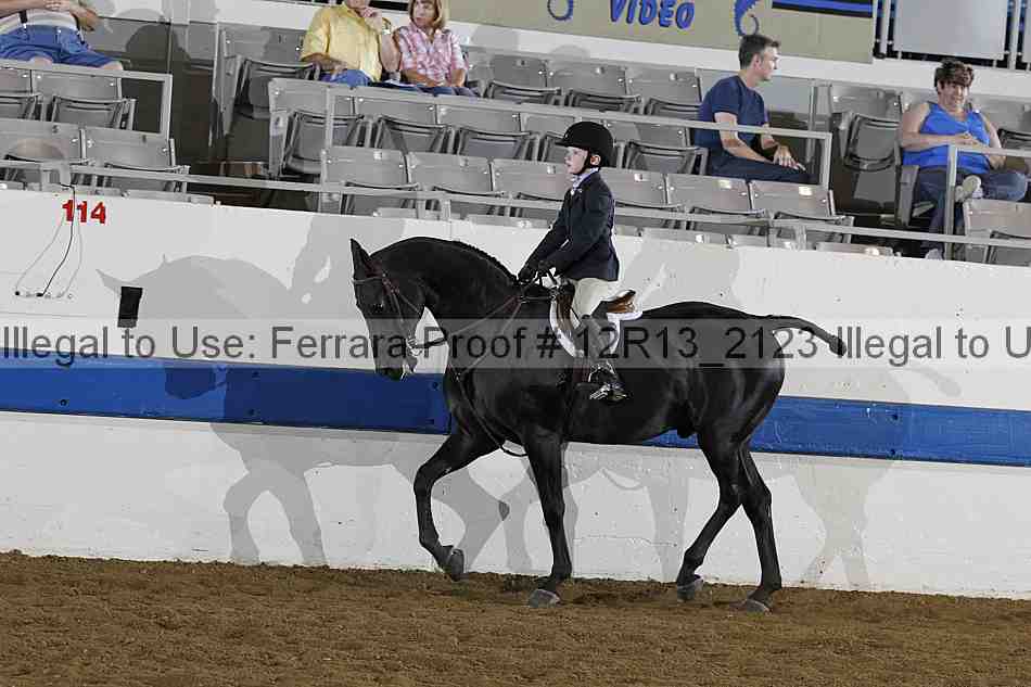 Proof 12r13_2123