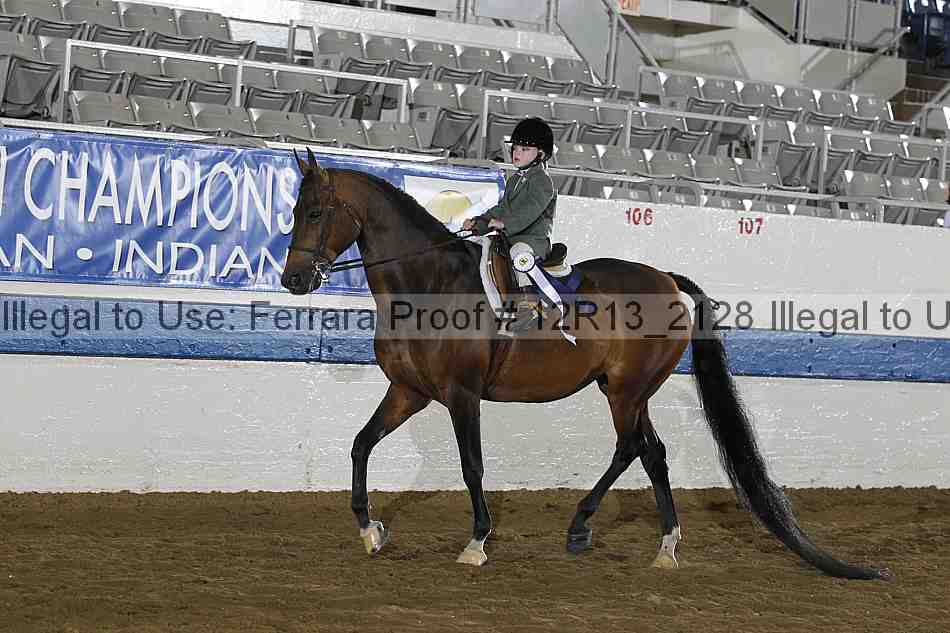 Proof 12r13_2128