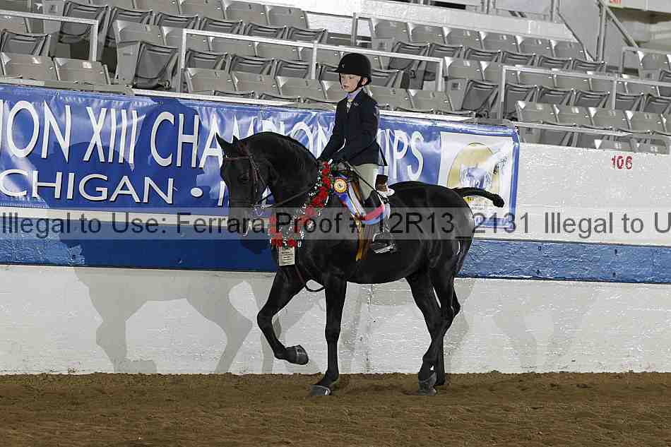 Proof 12r13_2131