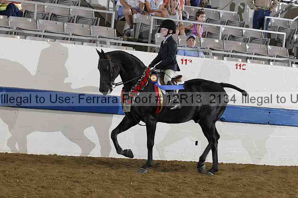 Proof 12r13_2134