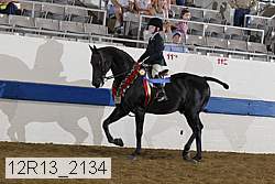12r13_2134 proof