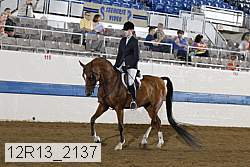 12r13_2137 proof