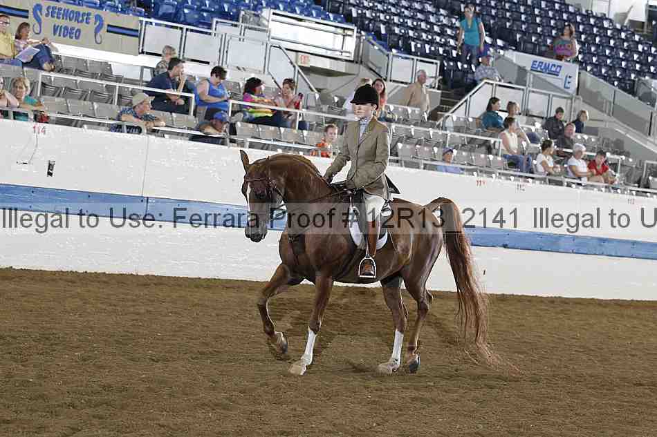 Proof 12r13_2141