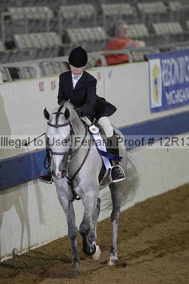Proof 12r13_2161