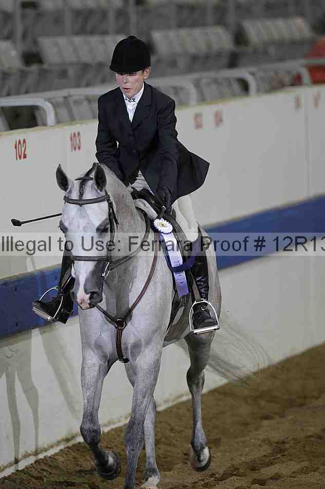 Proof 12r13_2162