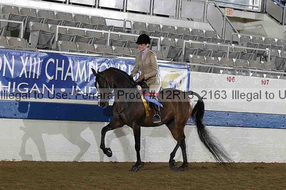 Proof 12r13_2163