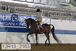 12r13_2163 proof