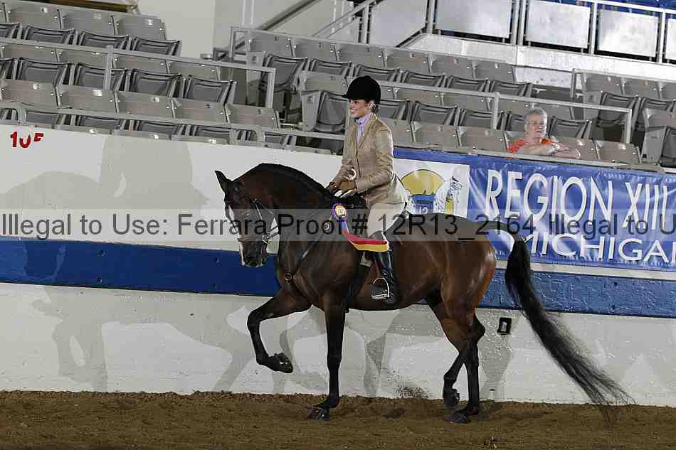 Proof 12r13_2164