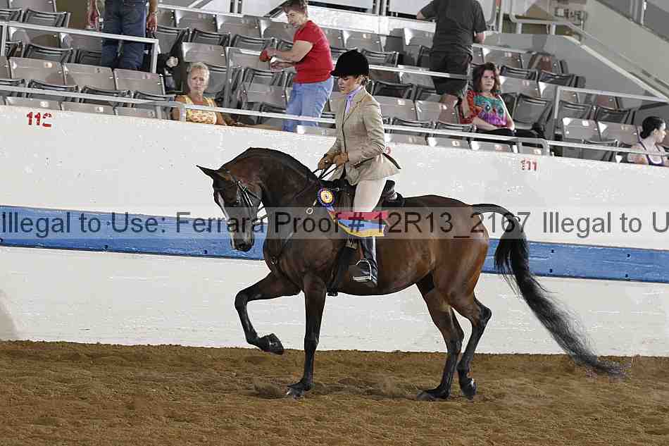 Proof 12r13_2167