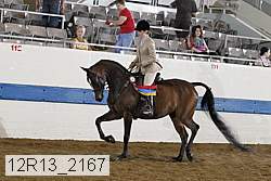 12r13_2167 proof