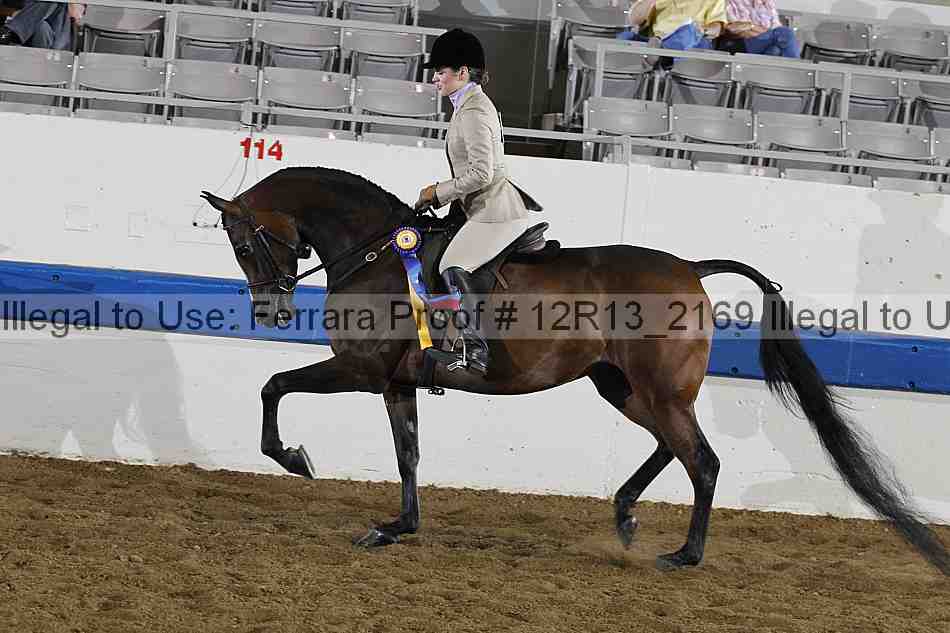 Proof 12r13_2169
