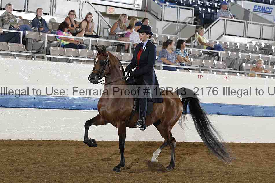 Proof 12r13_2176