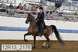 12r13_2176 proof