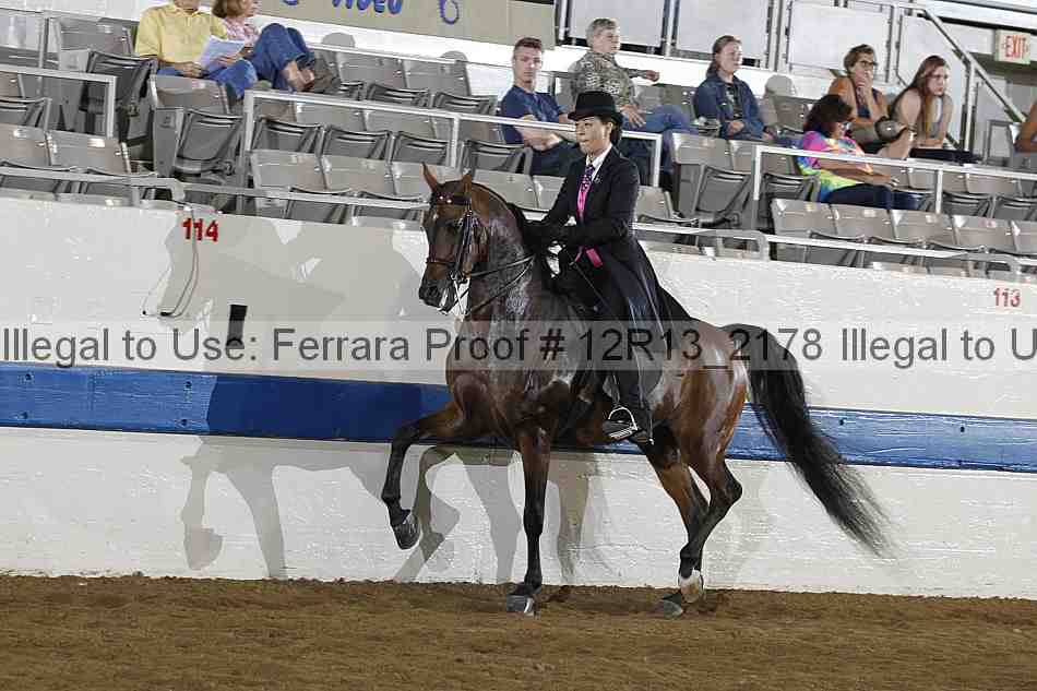 Proof 12r13_2178