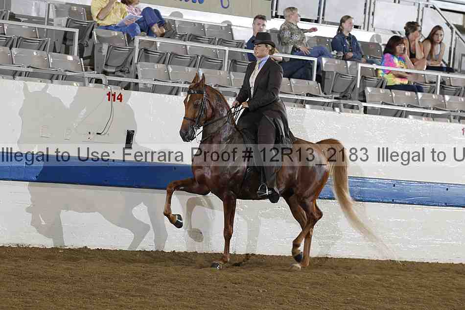Proof 12r13_2183