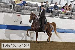 12r13_2183 proof