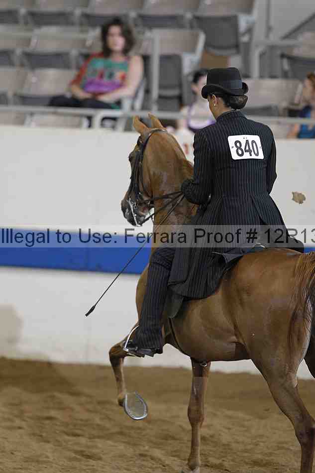 Proof 12r13_2185