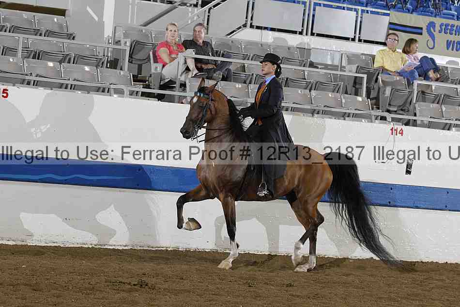 Proof 12r13_2187