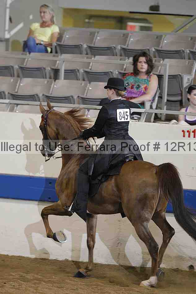 Proof 12r13_2189