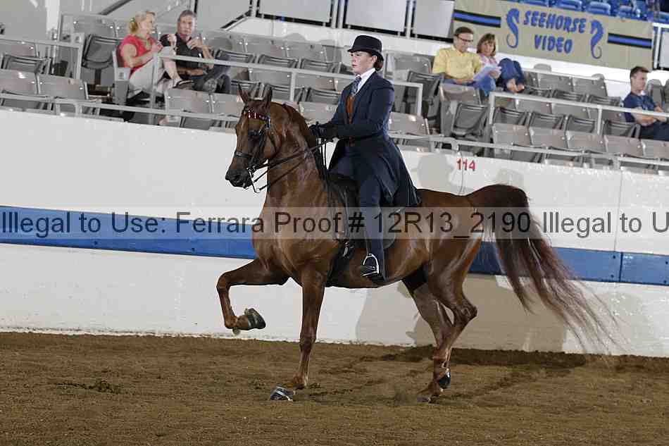 Proof 12r13_2190