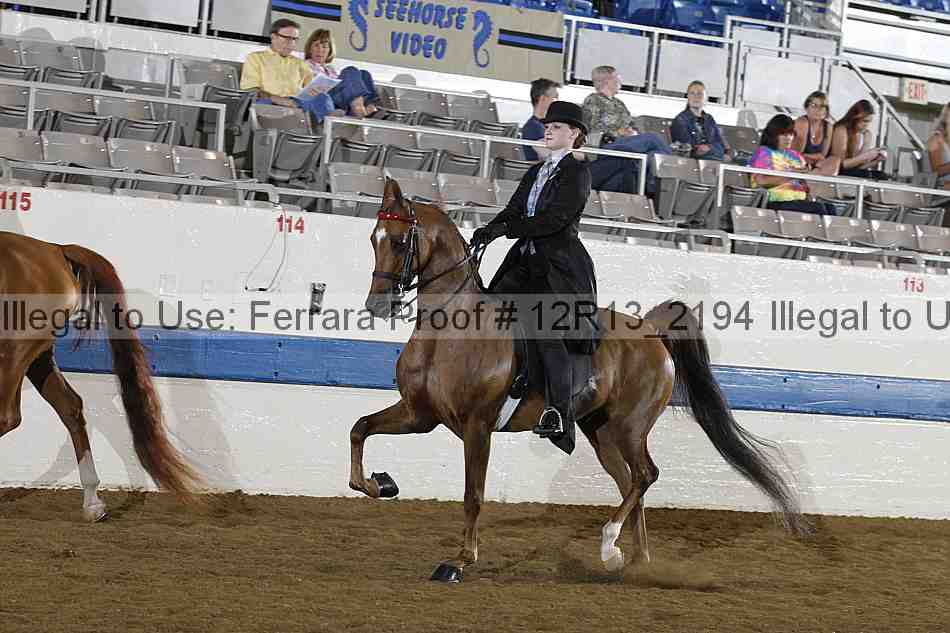 Proof 12r13_2194