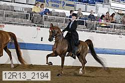 12r13_2194 proof