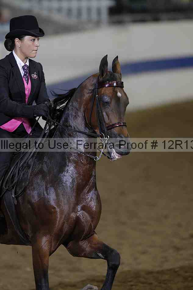 Proof 12r13_2195