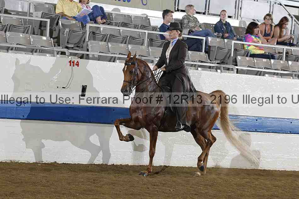 Proof 12r13_2196