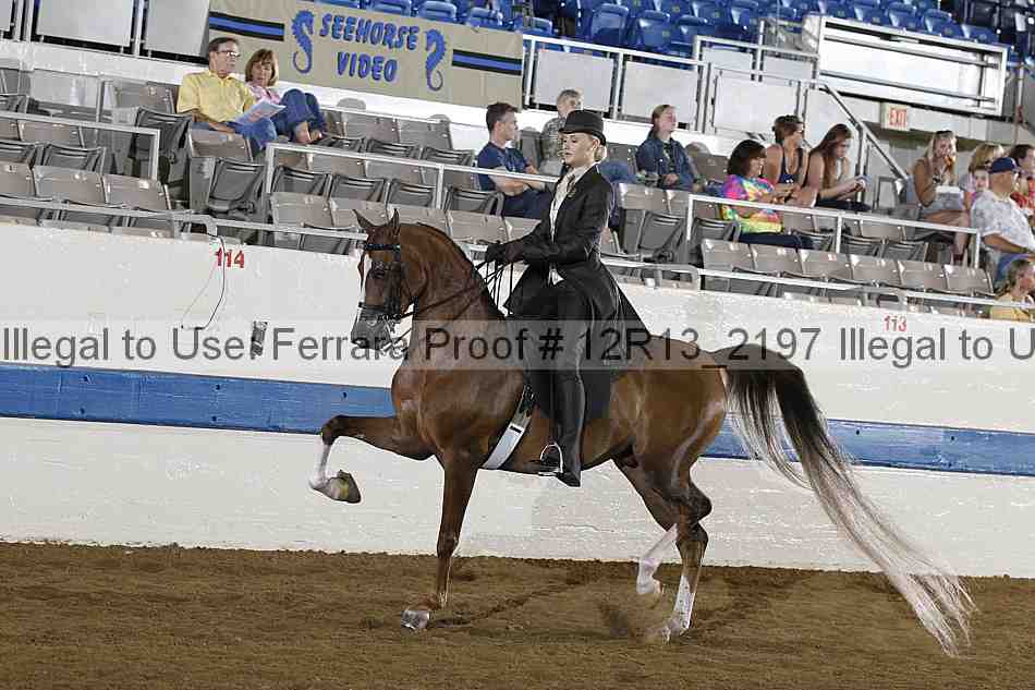 Proof 12r13_2197