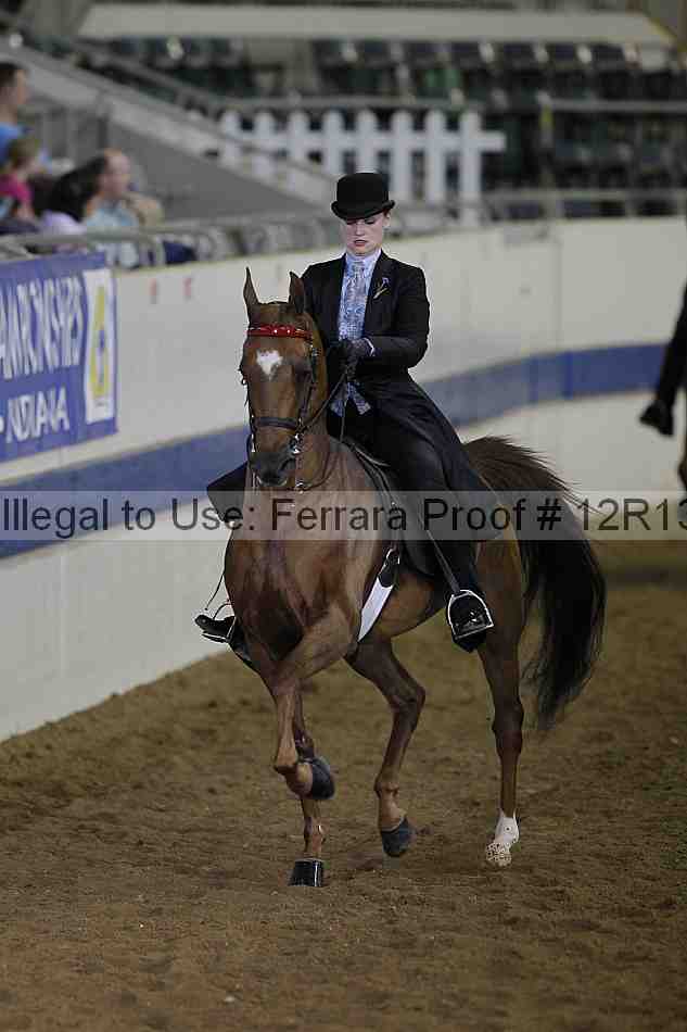Proof 12r13_2199