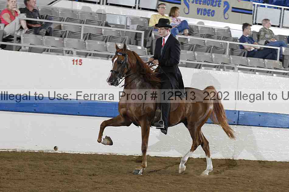 Proof 12r13_2202