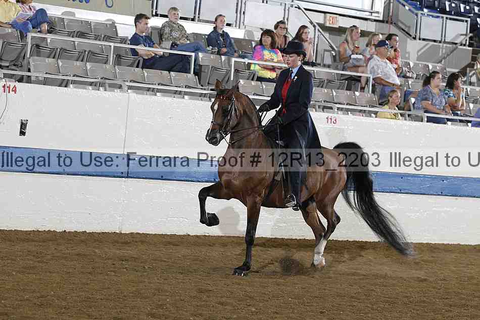 Proof 12r13_2203