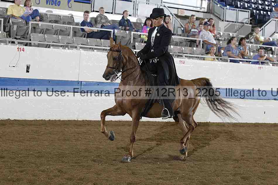 Proof 12r13_2205