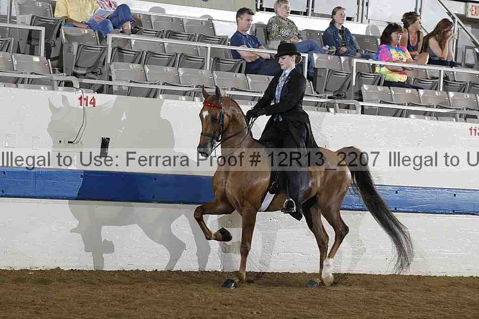 Proof 12r13_2207