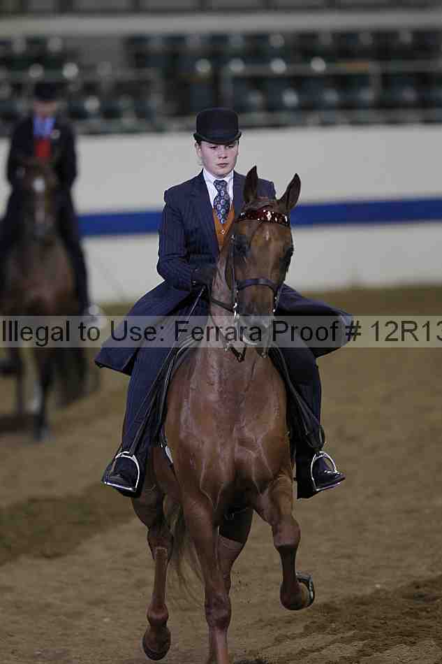 Proof 12r13_2208
