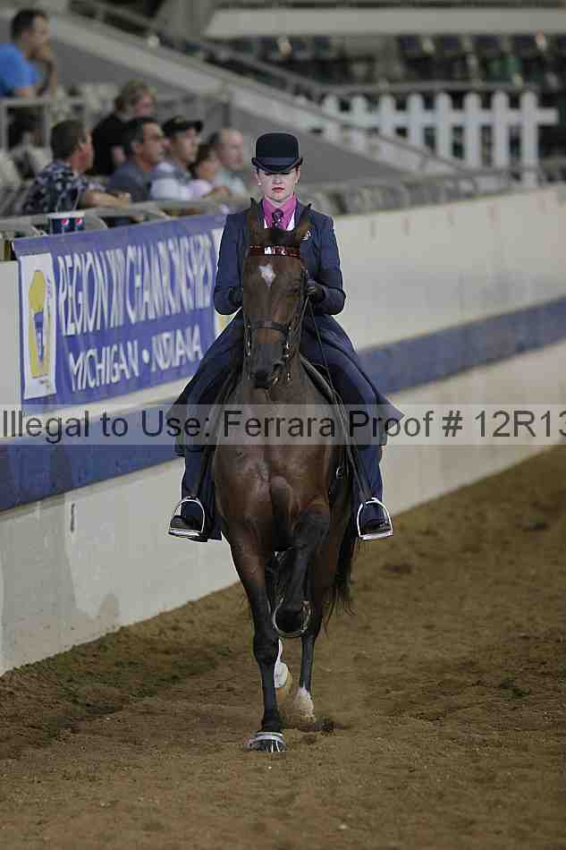 Proof 12r13_2219