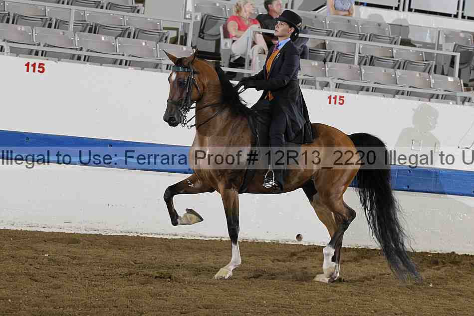 Proof 12r13_2220