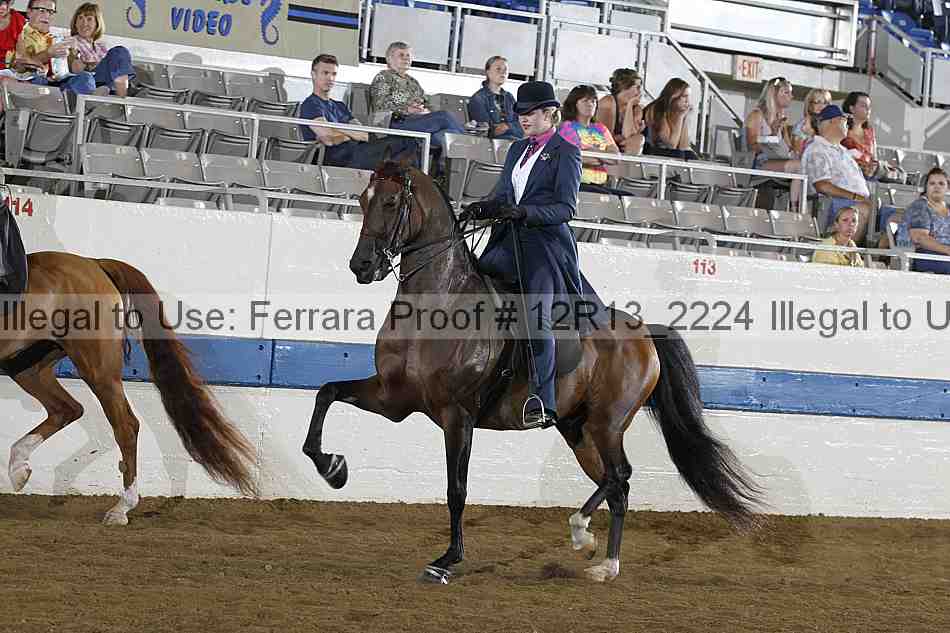 Proof 12r13_2224