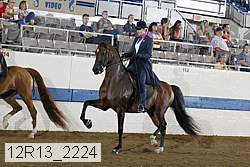 12r13_2224 proof
