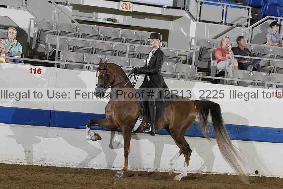 Proof 12r13_2225