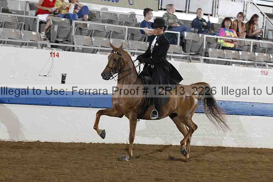 Proof 12r13_2226