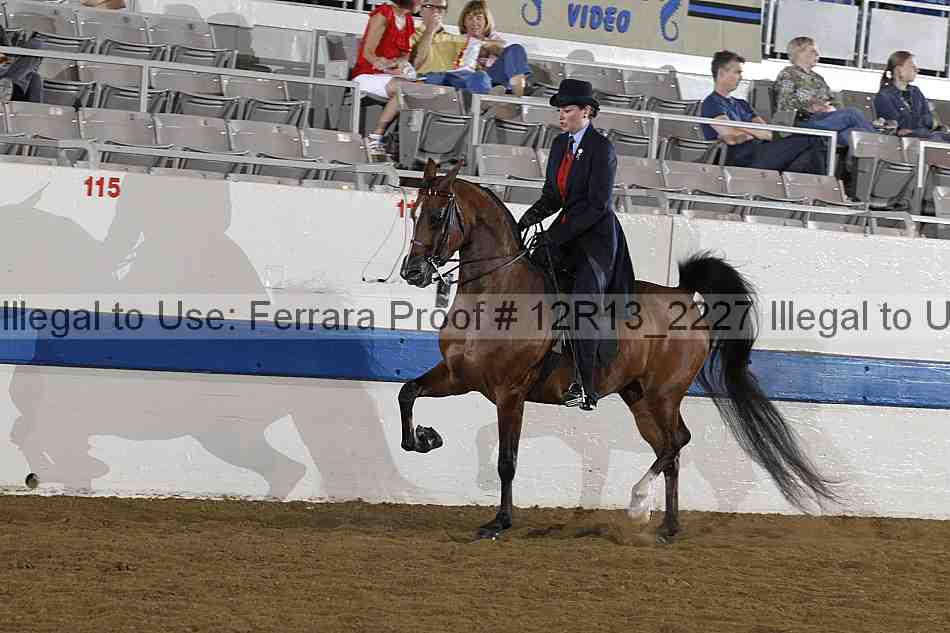 Proof 12r13_2227